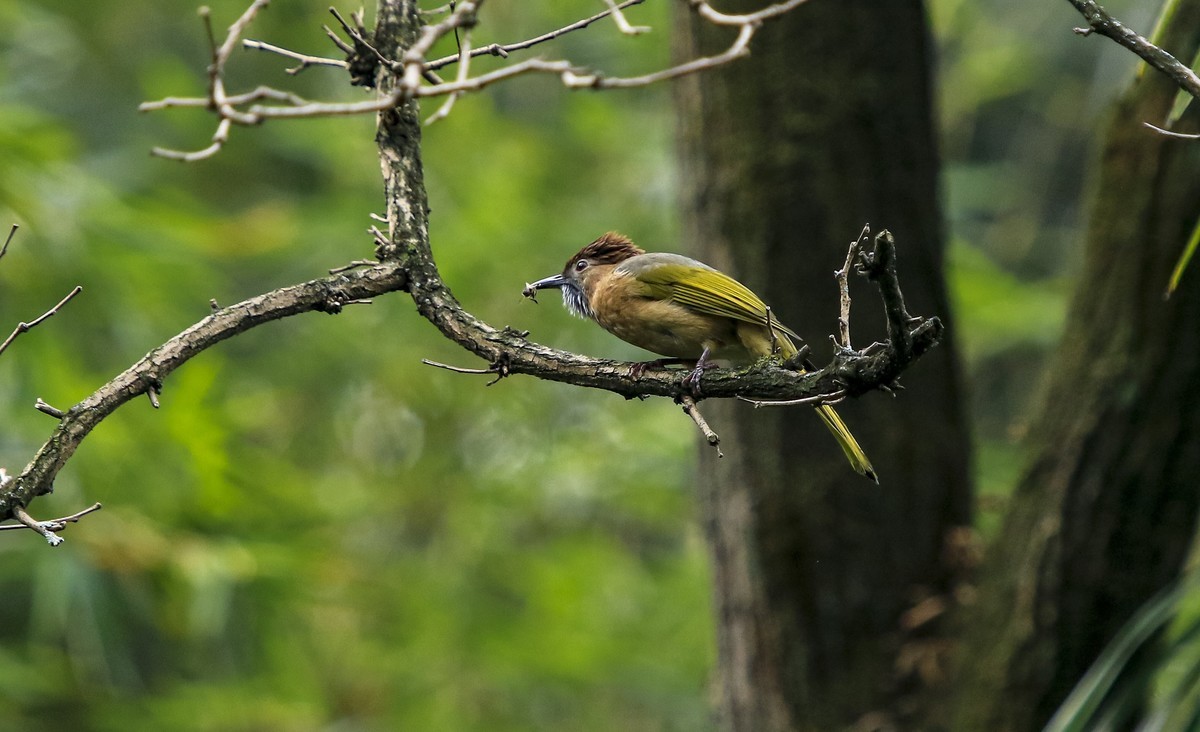 《生态》鸟片抓拍 10