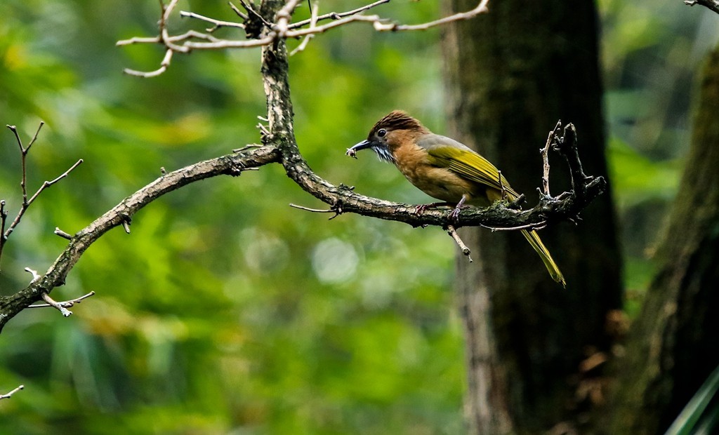 《生态》鸟片抓拍 10
