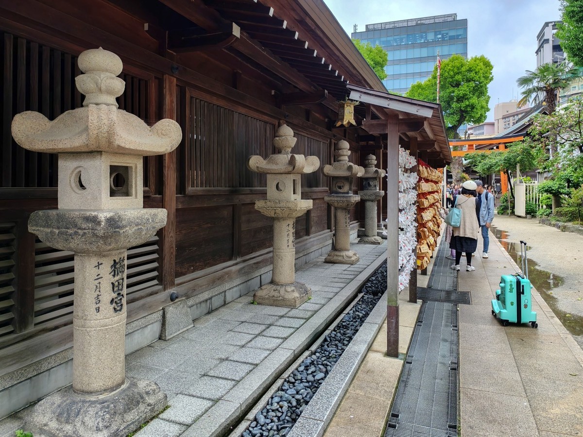 邮轮六日（14）