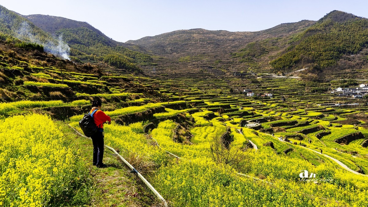 三月下江南——岭南覆卮山油菜花梯田（8）