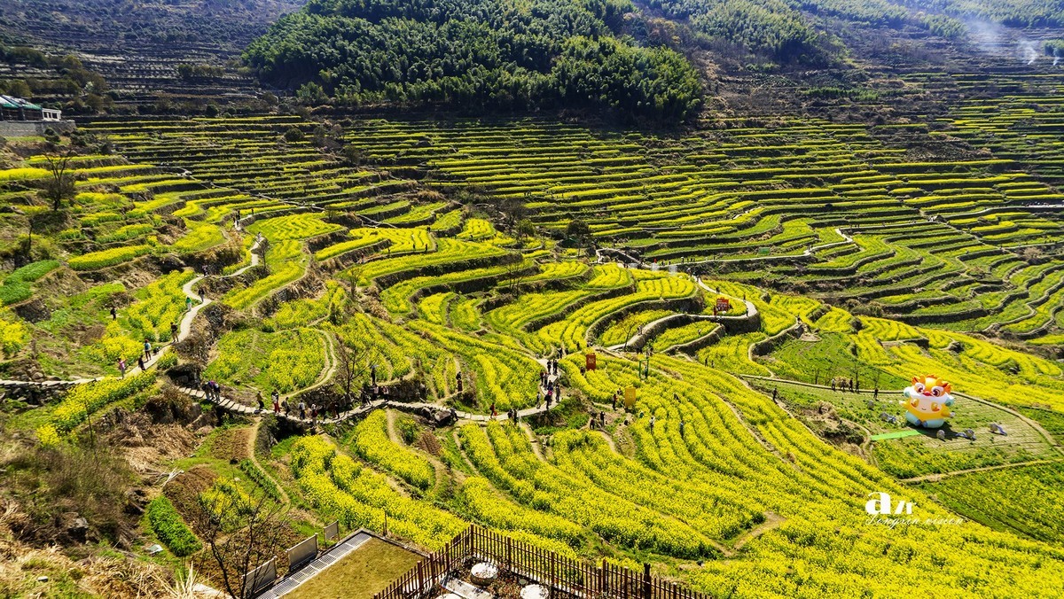 三月下江南——岭南覆卮山油菜花梯田（8）