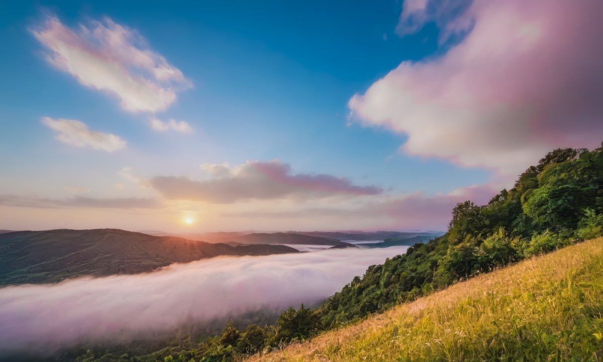 心灵的净化与探索