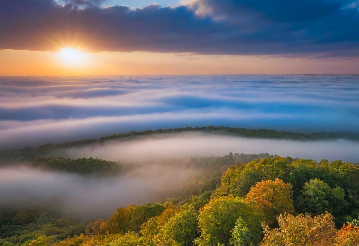 心灵的净化与探索