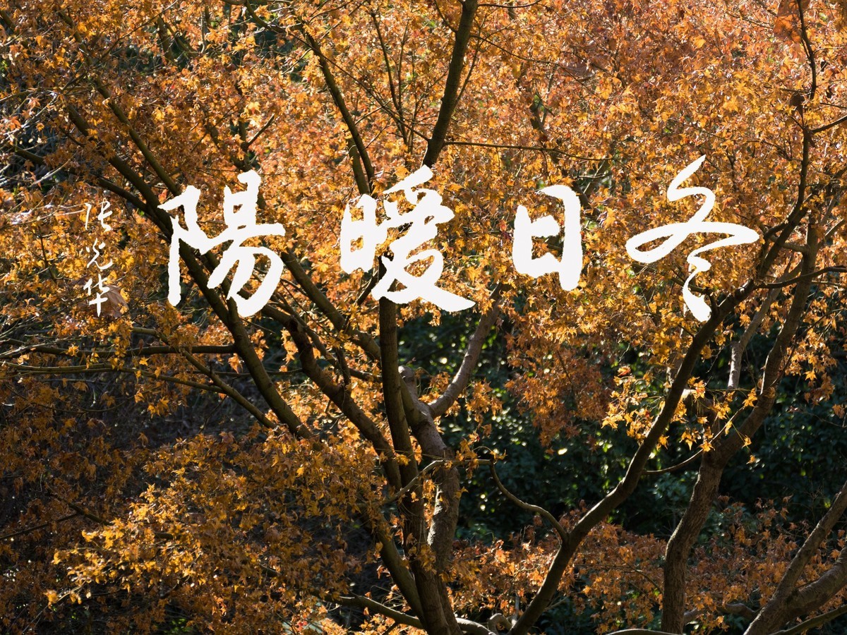 冬日暖阳（1）