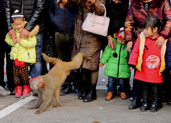 《不老松：纪实摄影》耍猴表演 (1)给钱就握手致谢！不给錢就踢！