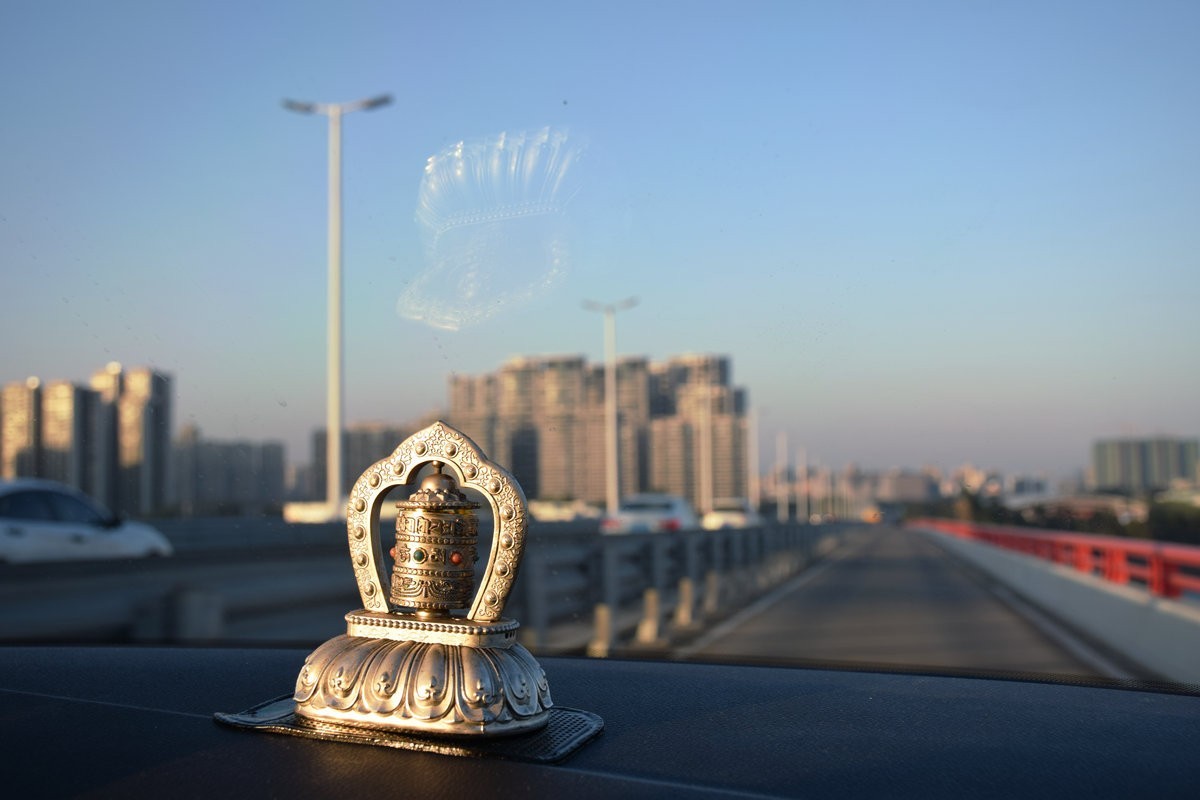 2025春节 广东行（30）喜迎蛇年