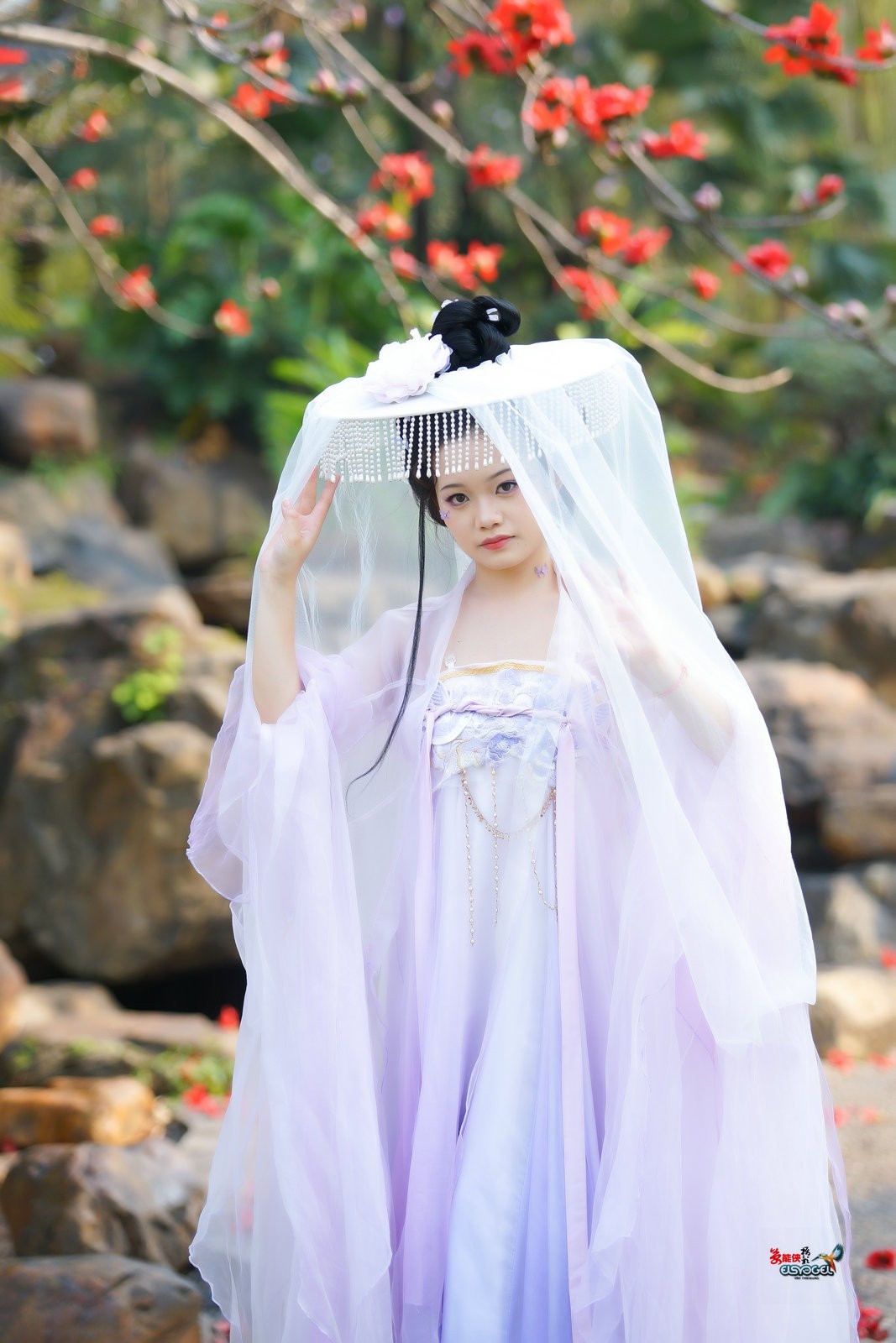 【帷帽花神】---小越-中关村在线摄影论坛