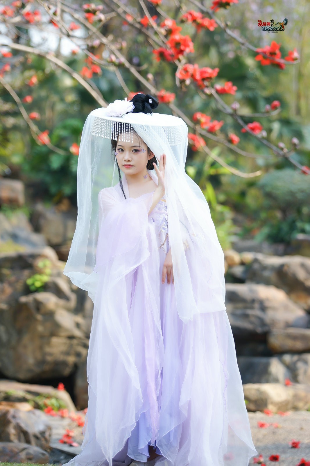 【帷帽花神】---小越-中关村在线摄影论坛