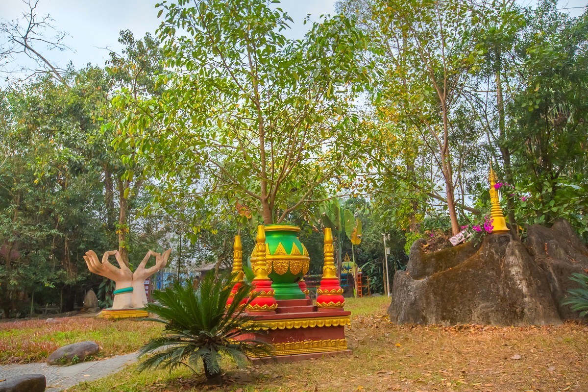 2025-04-03云南瑞丽独树成林（一）