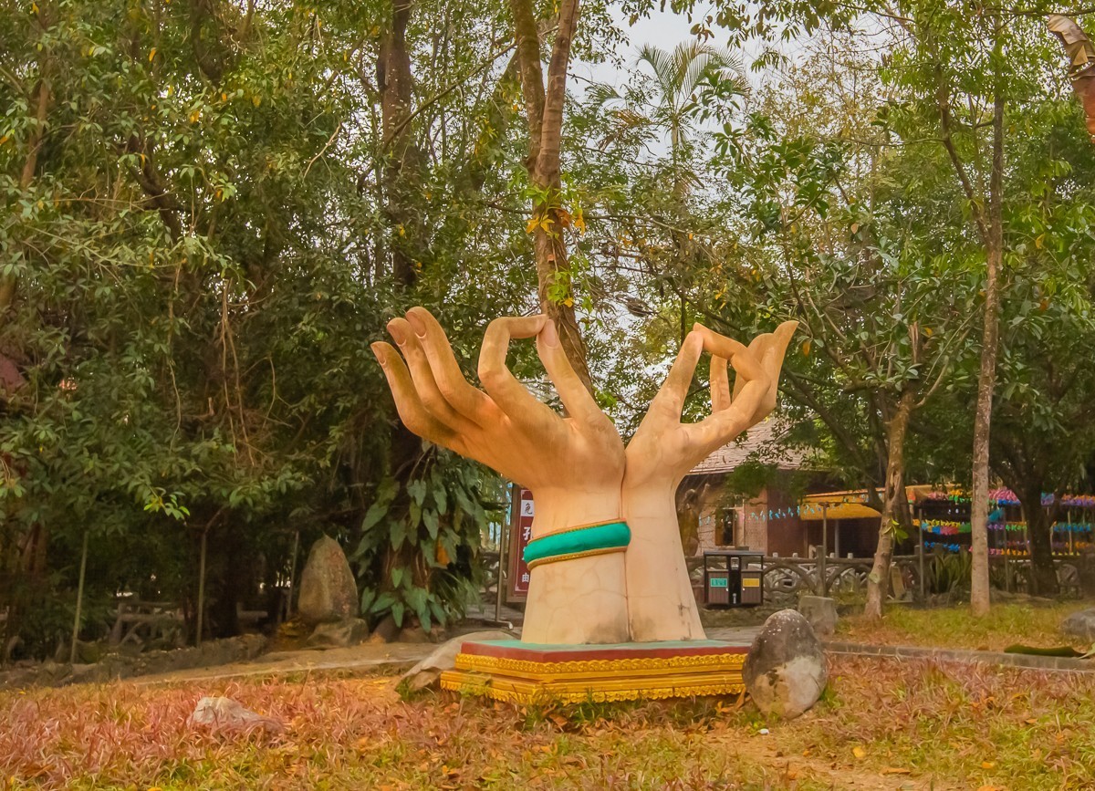 2025-04-03云南瑞丽独树成林（一）