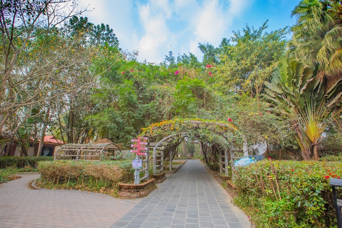 2025-04-03云南瑞丽独树成林（一）