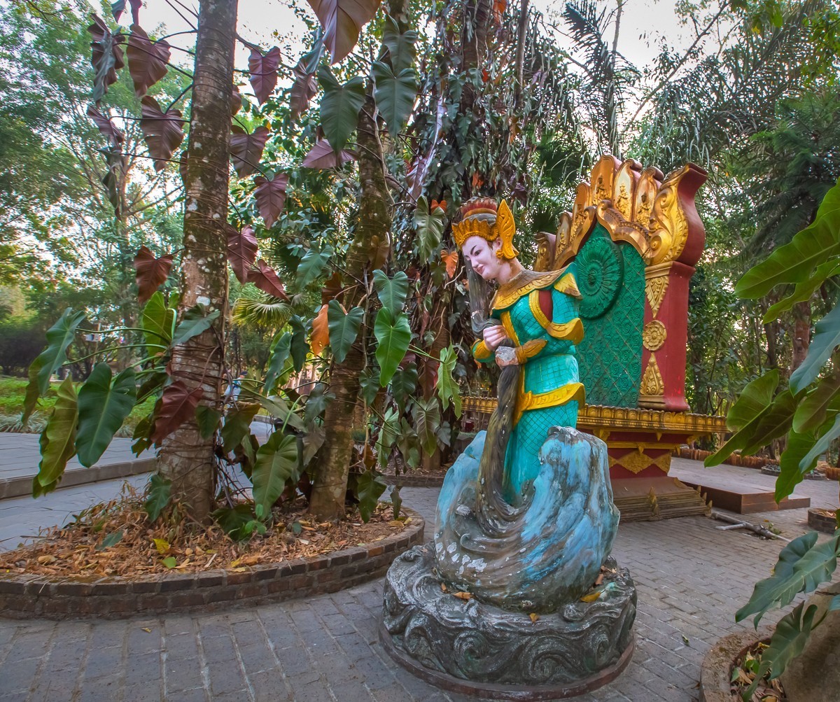 2025-04-03云南瑞丽独树成林（一）