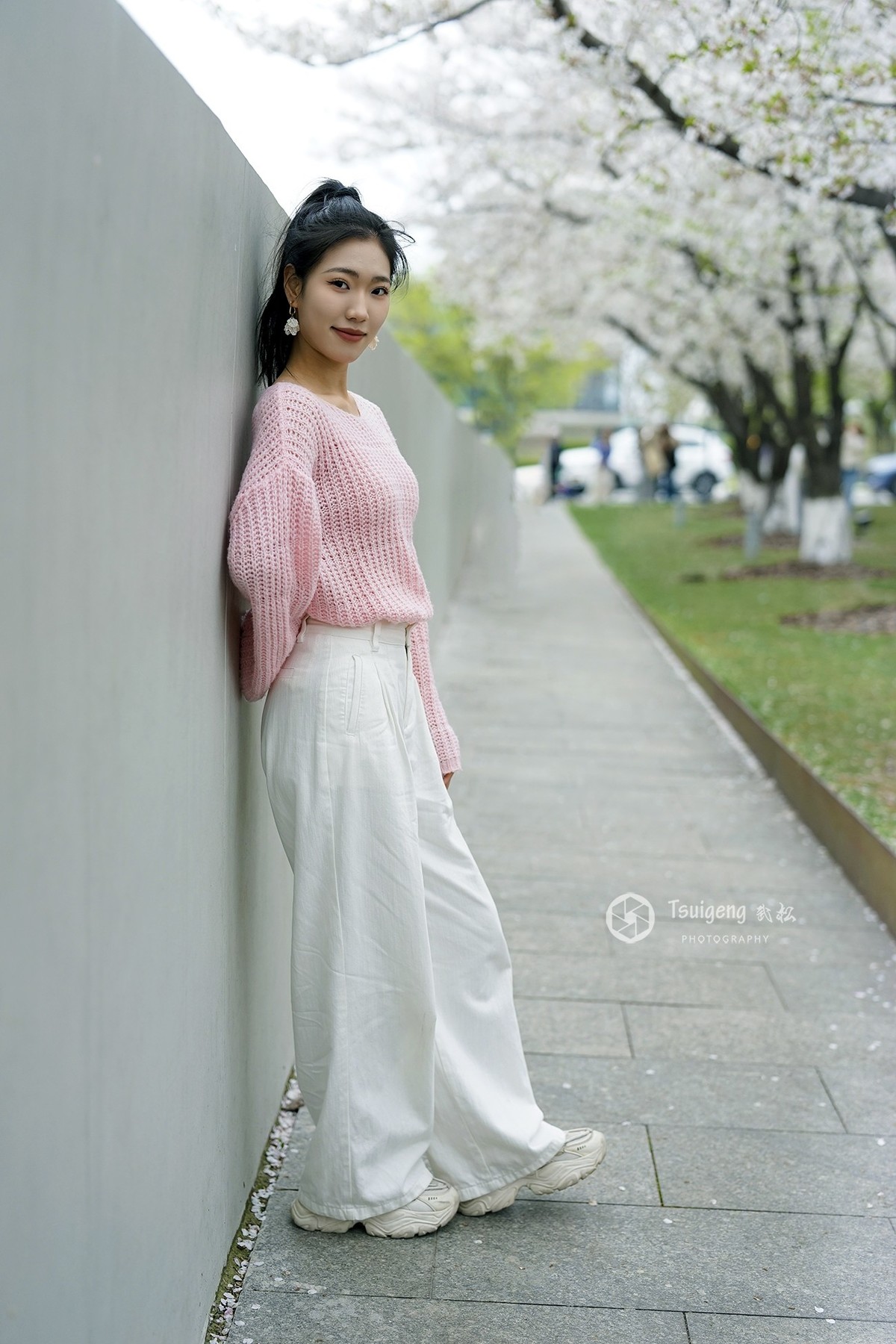 繁樱燃春绘就绯色诗笺