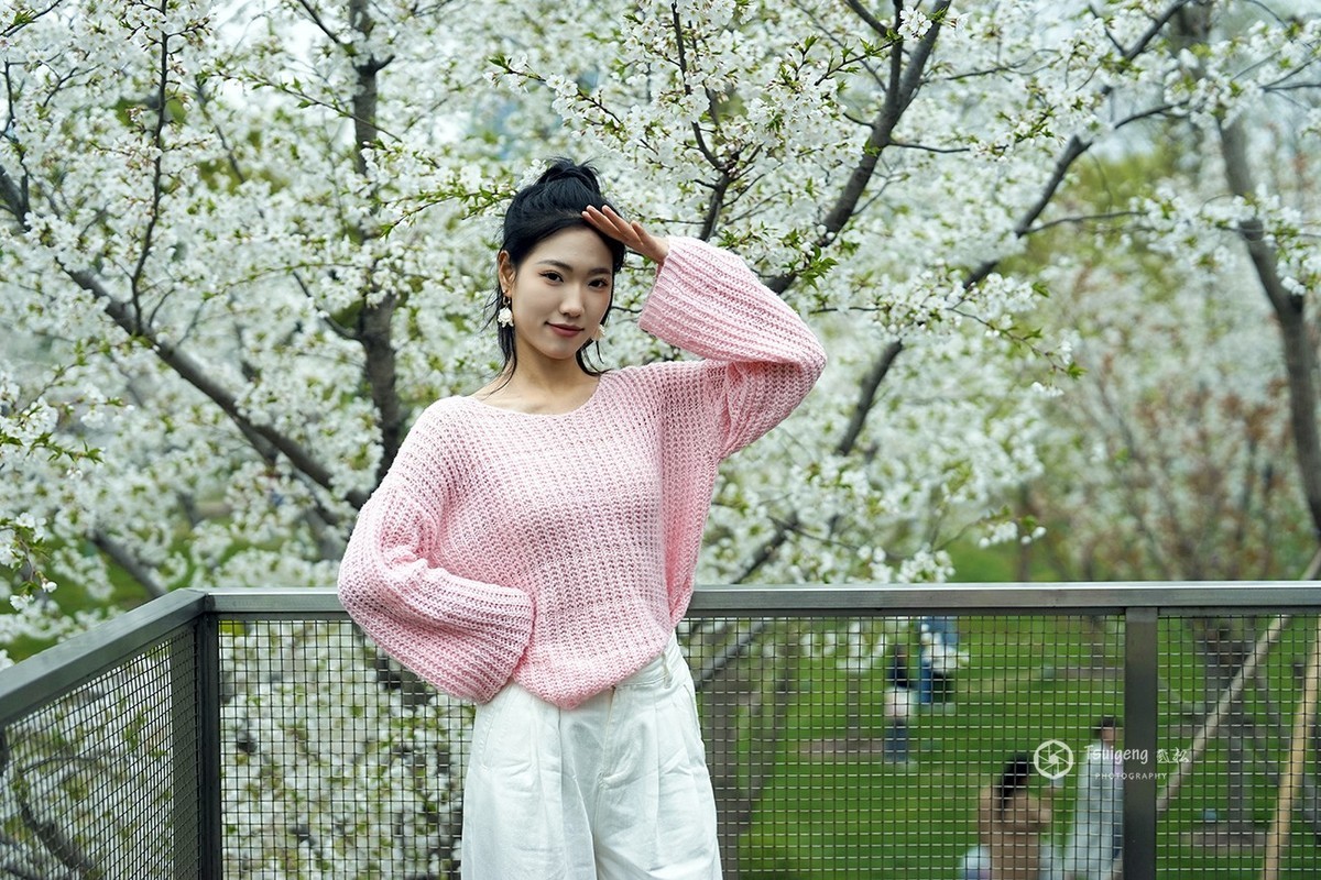 繁樱燃春绘就绯色诗笺