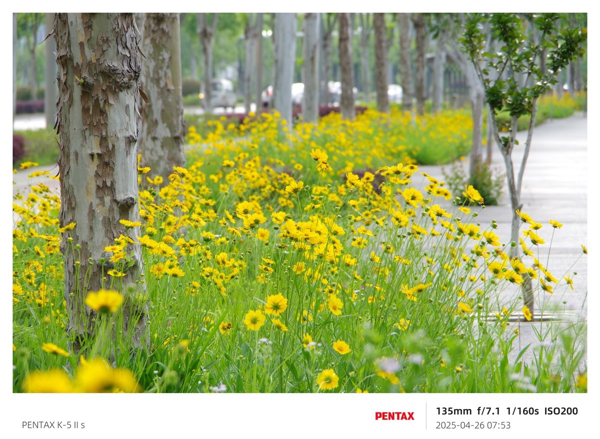 宾得K52S搭配18-135试机