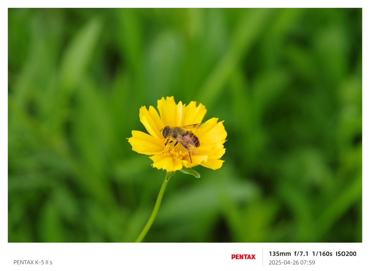 宾得K52S搭配18-135试机