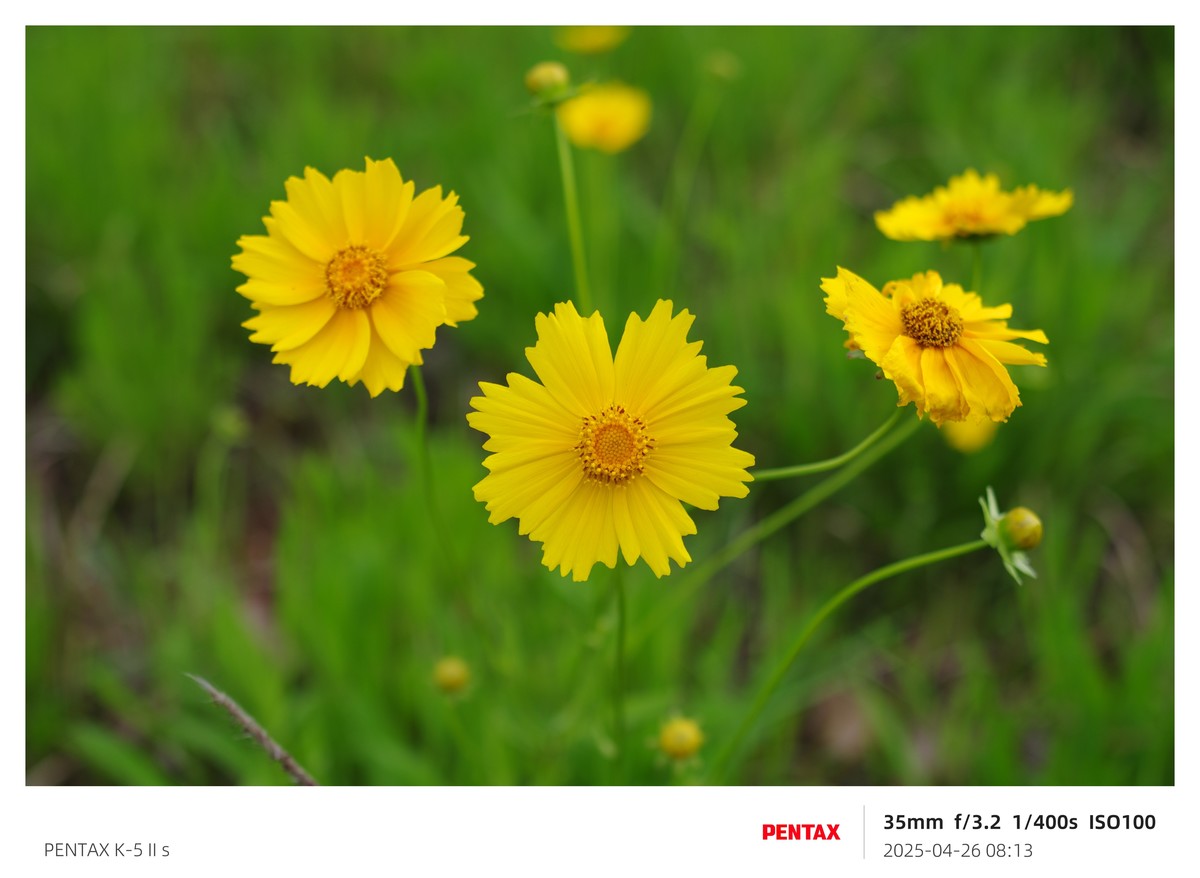 宾得K52S搭配18-135试机