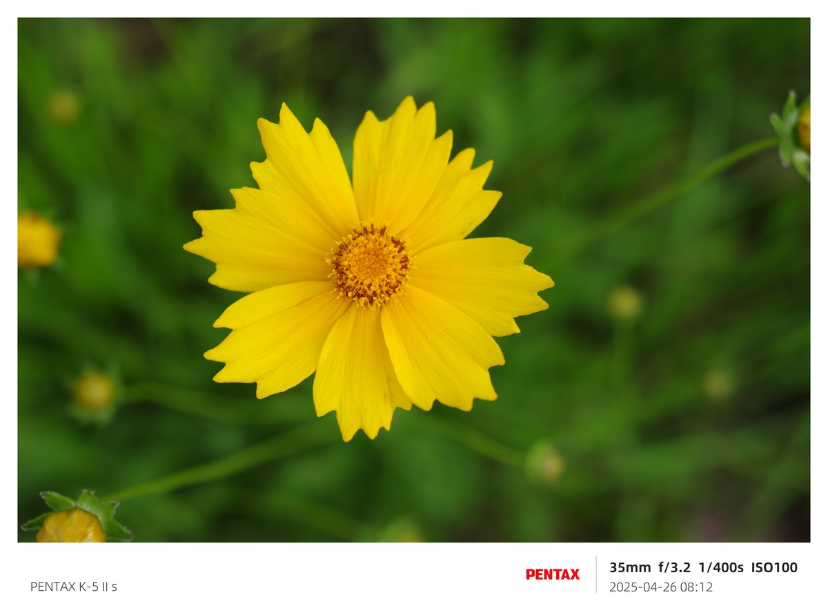 宾得K52S搭配18-135试机