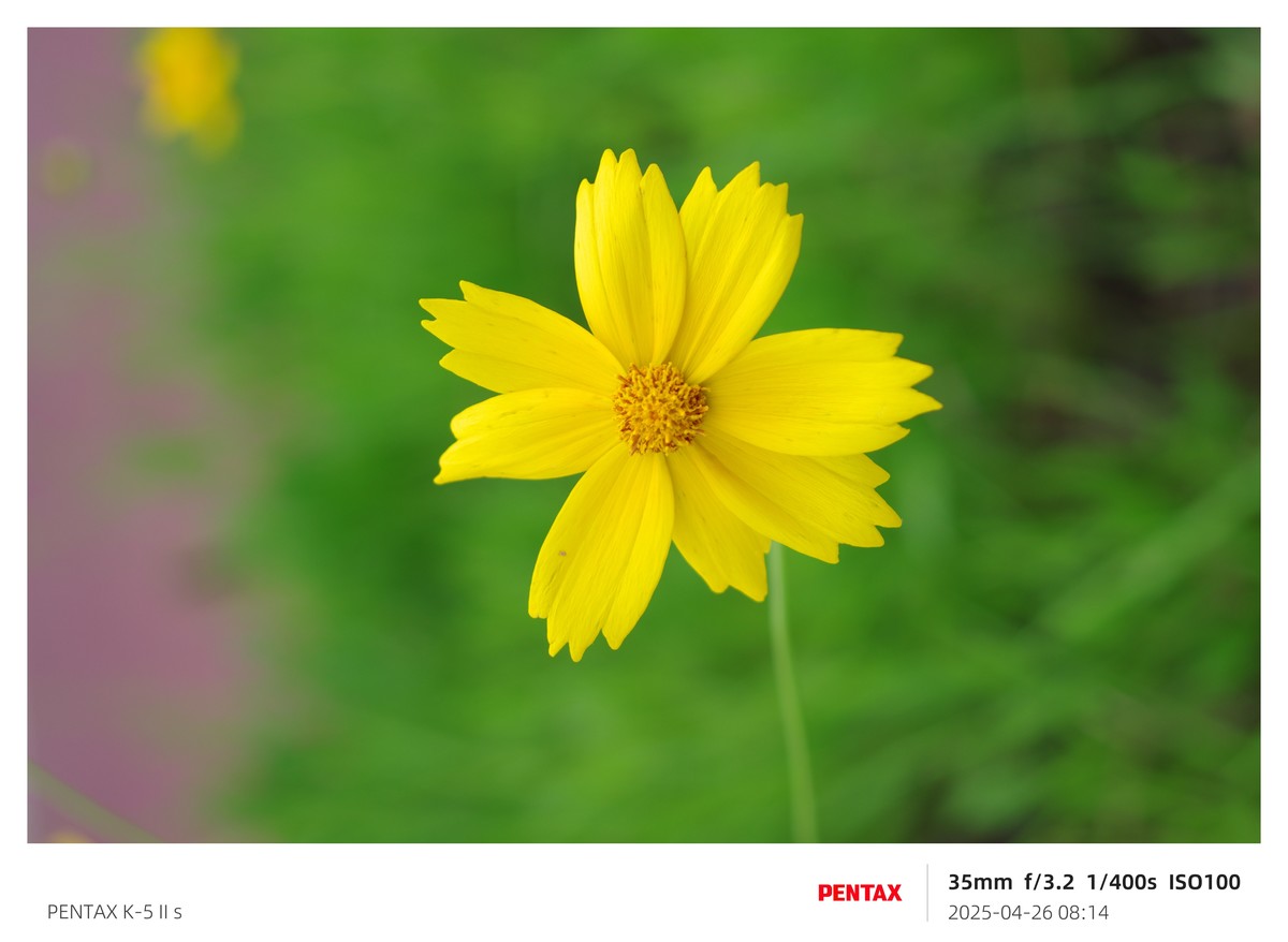 宾得K52S搭配18-135试机