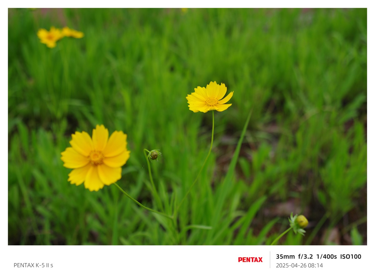 宾得K52S搭配18-135试机