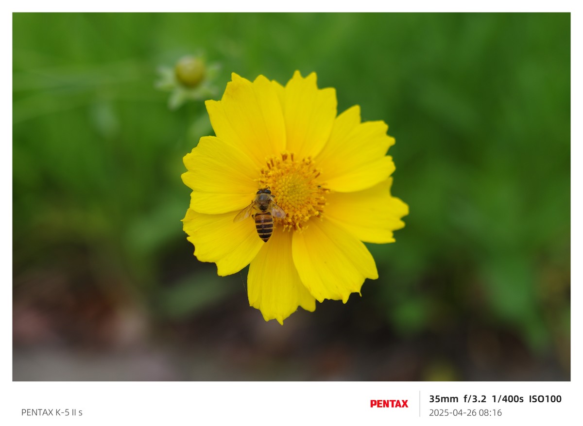 宾得K52S搭配18-135试机