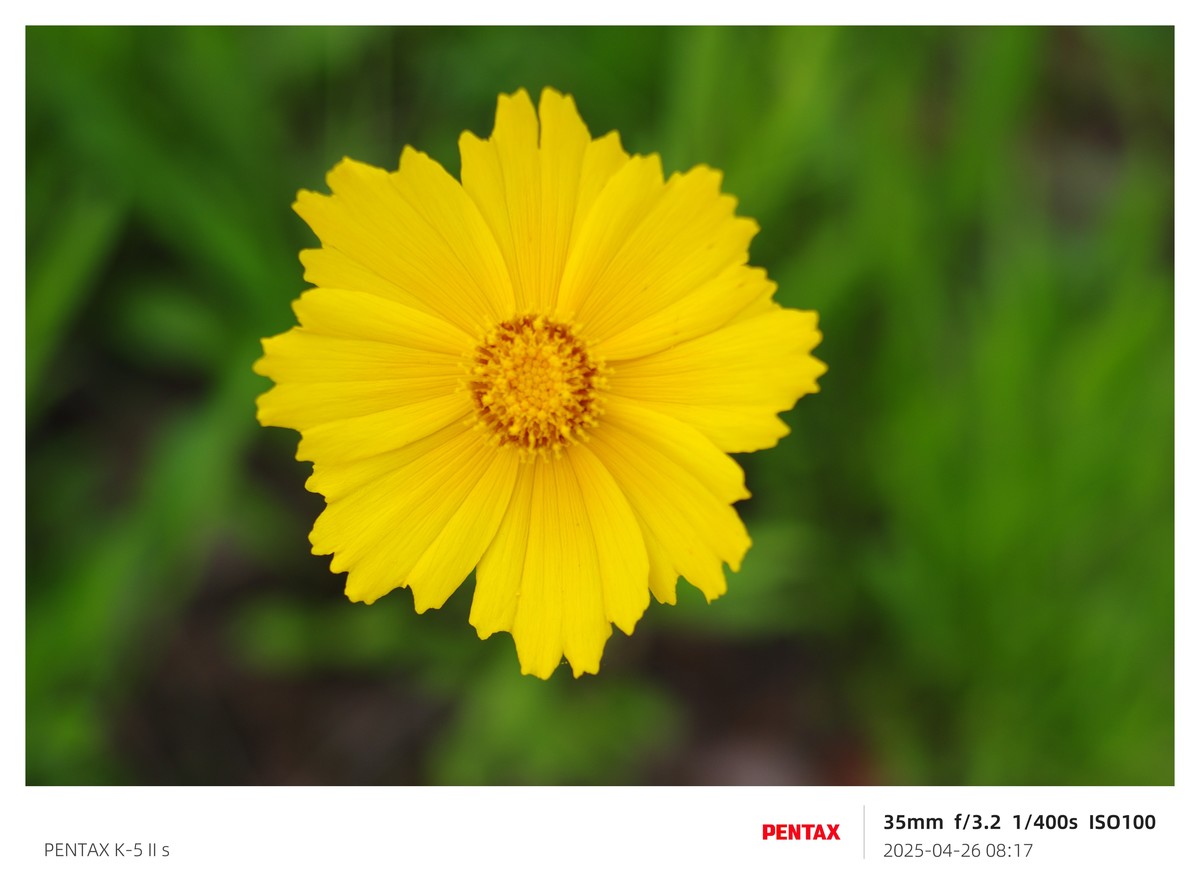 宾得K52S搭配18-135试机