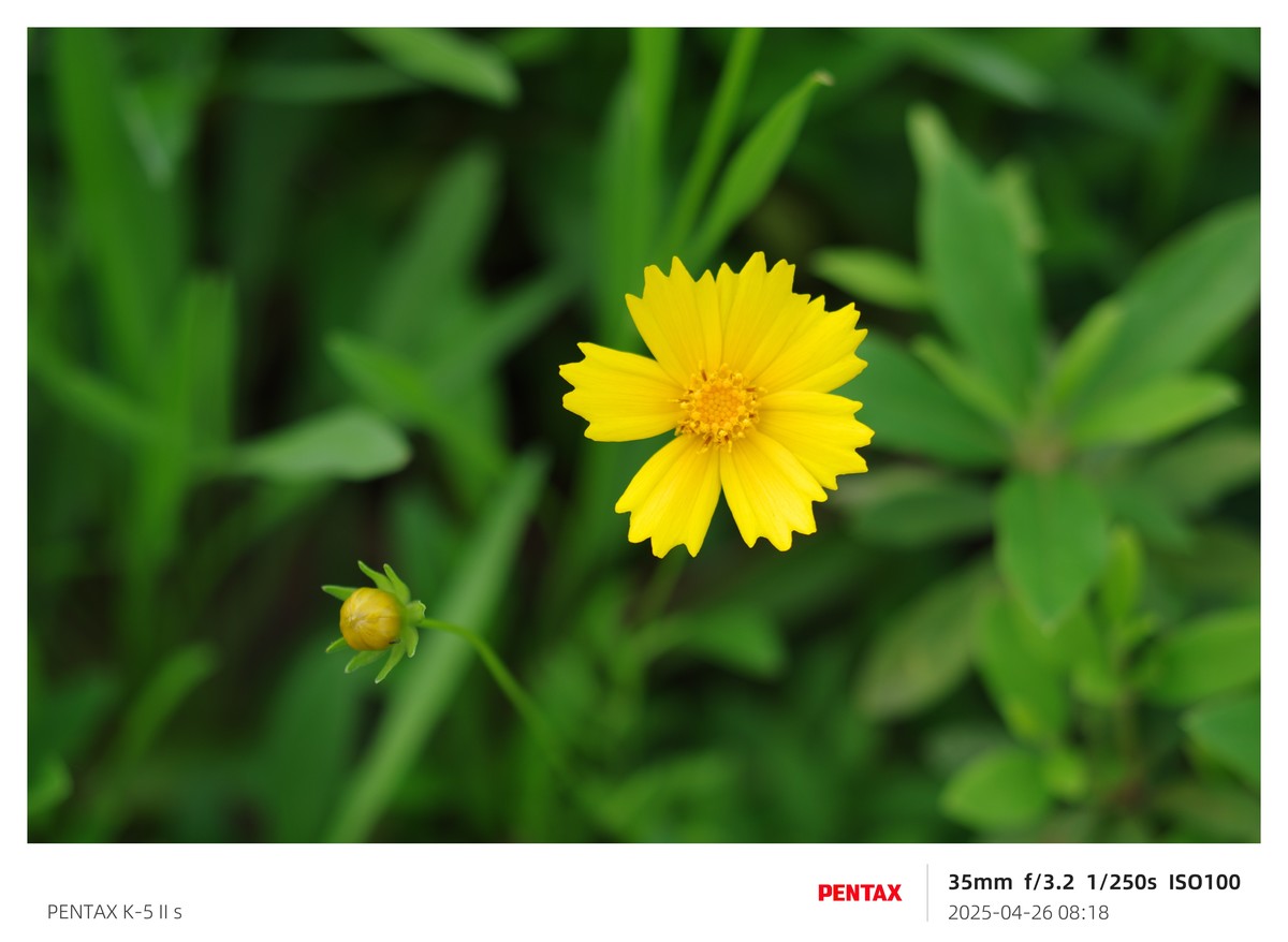 宾得K52S搭配18-135试机