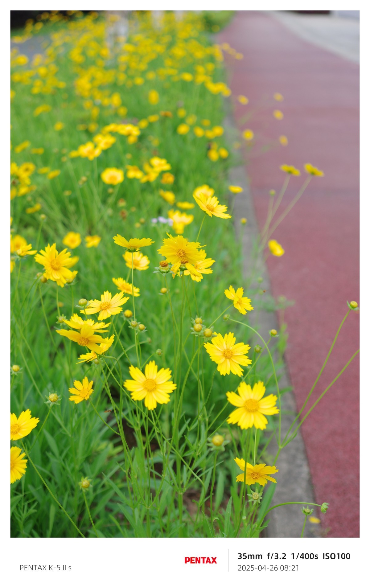 宾得K52S搭配18-135试机