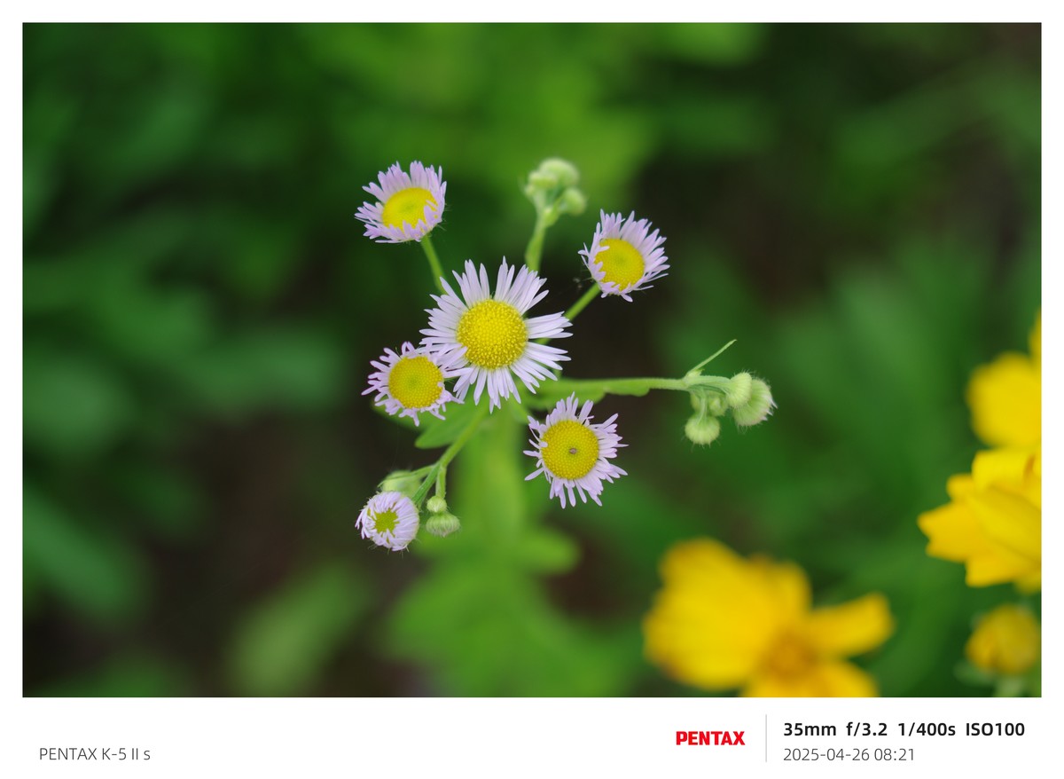 宾得K52S搭配18-135试机