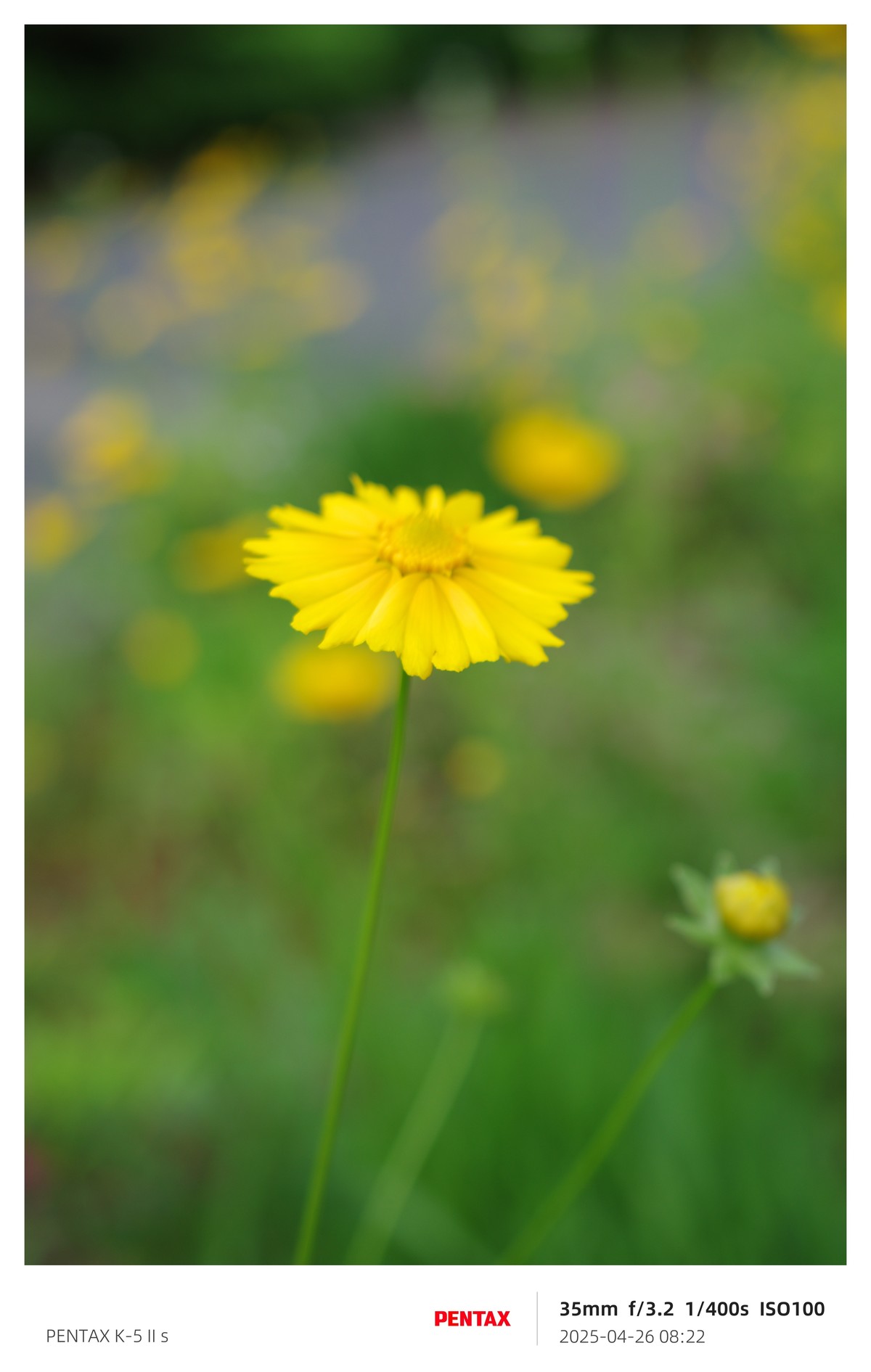 宾得K52S搭配18-135试机