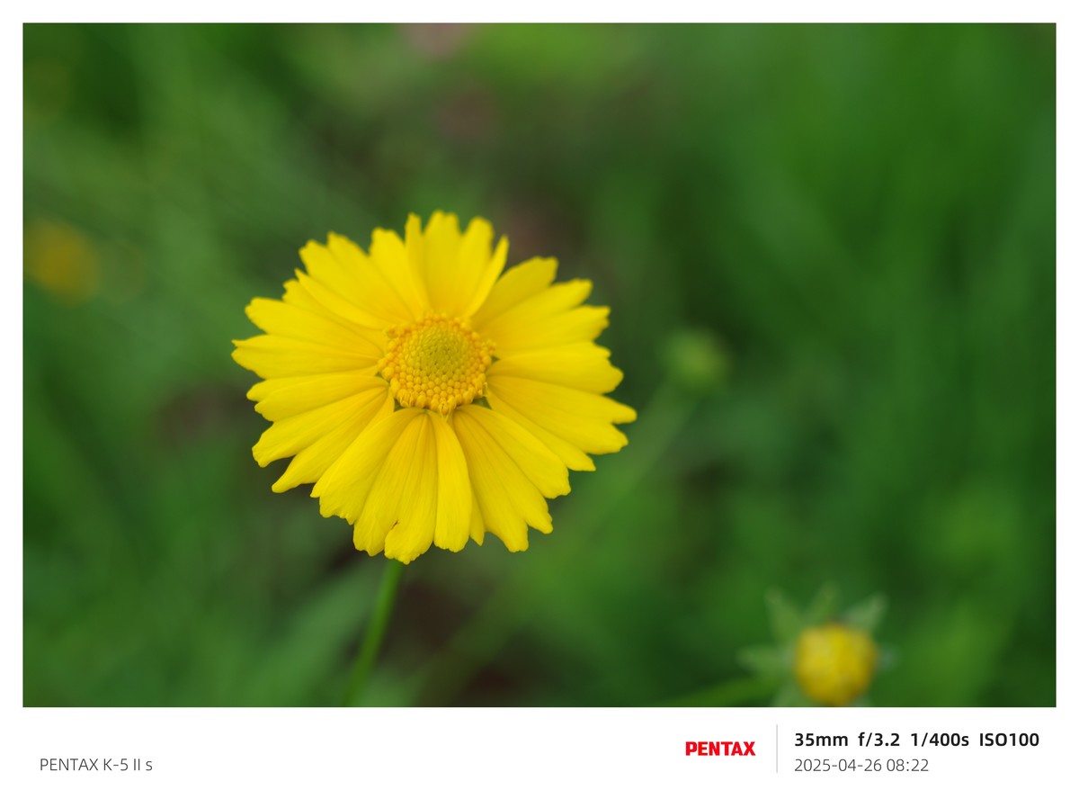 宾得K52S搭配18-135试机