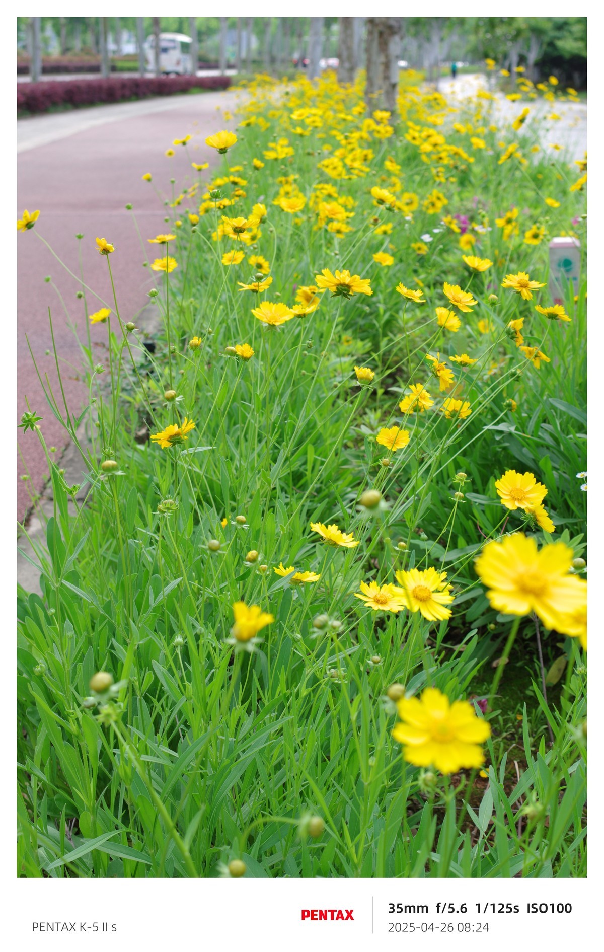 宾得K52S搭配18-135试机