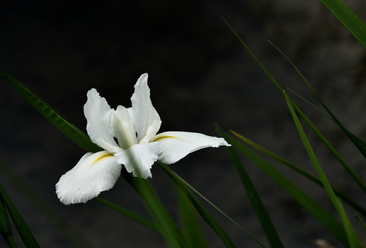 斑竹林景区掠影【1】