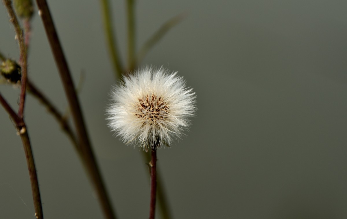 斑竹林景区掠影【1】