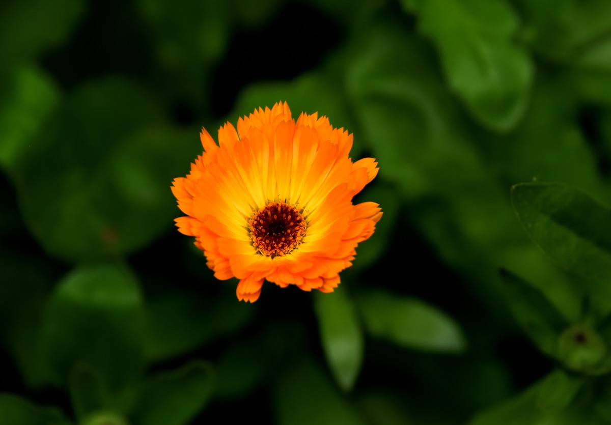 斑竹林景区掠影【1】