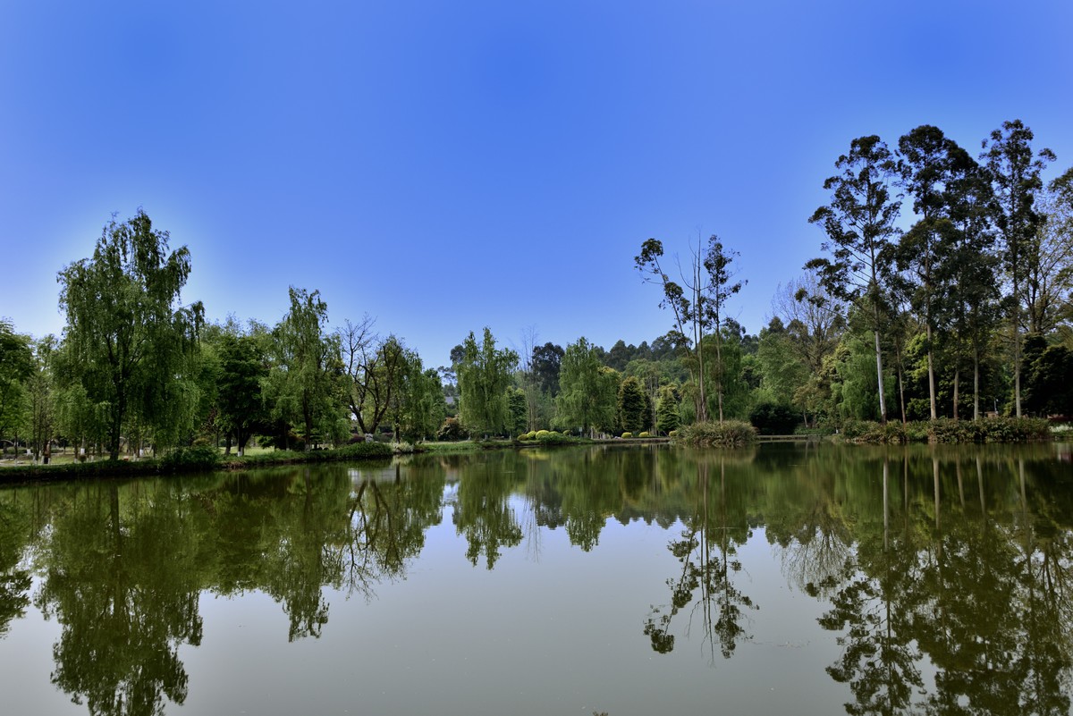 斑竹林景区掠影【1】