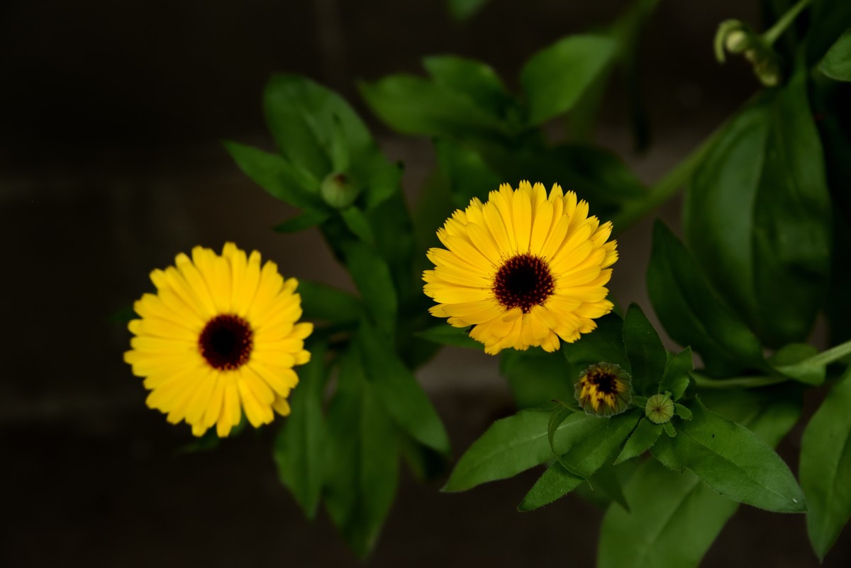 斑竹林景区掠影【1】