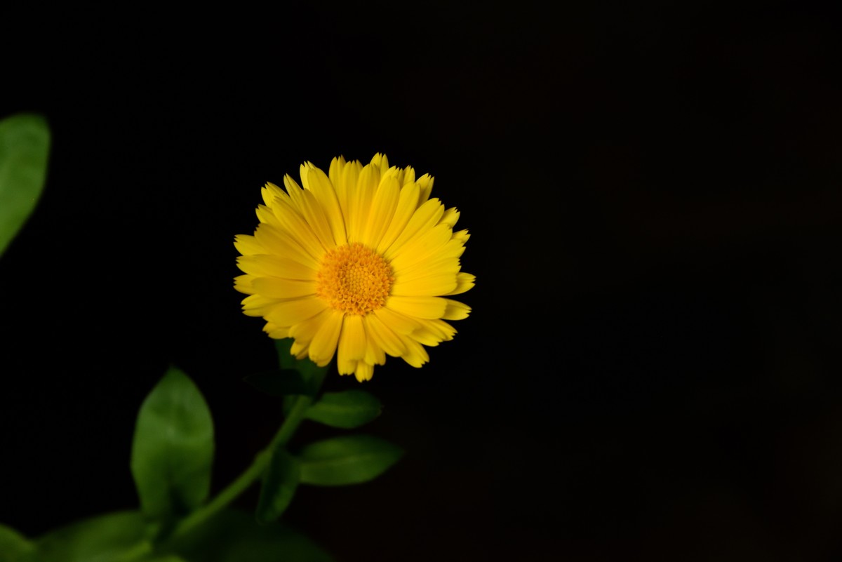 斑竹林景区掠影【1】