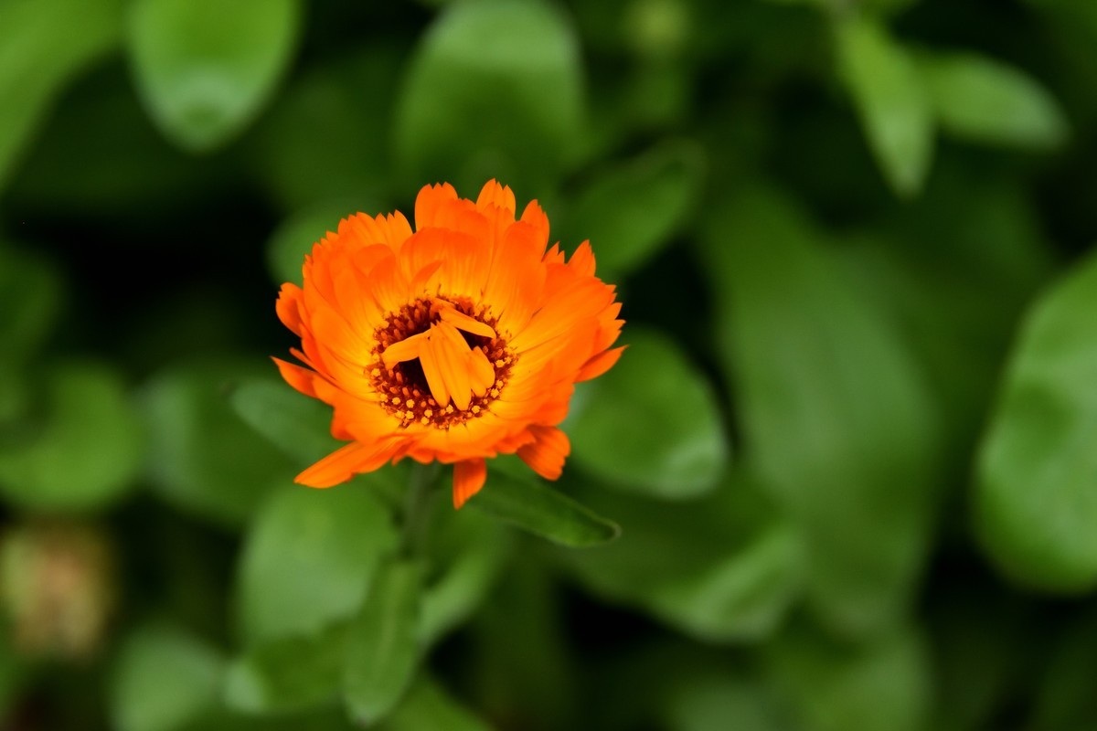 斑竹林景区掠影【1】