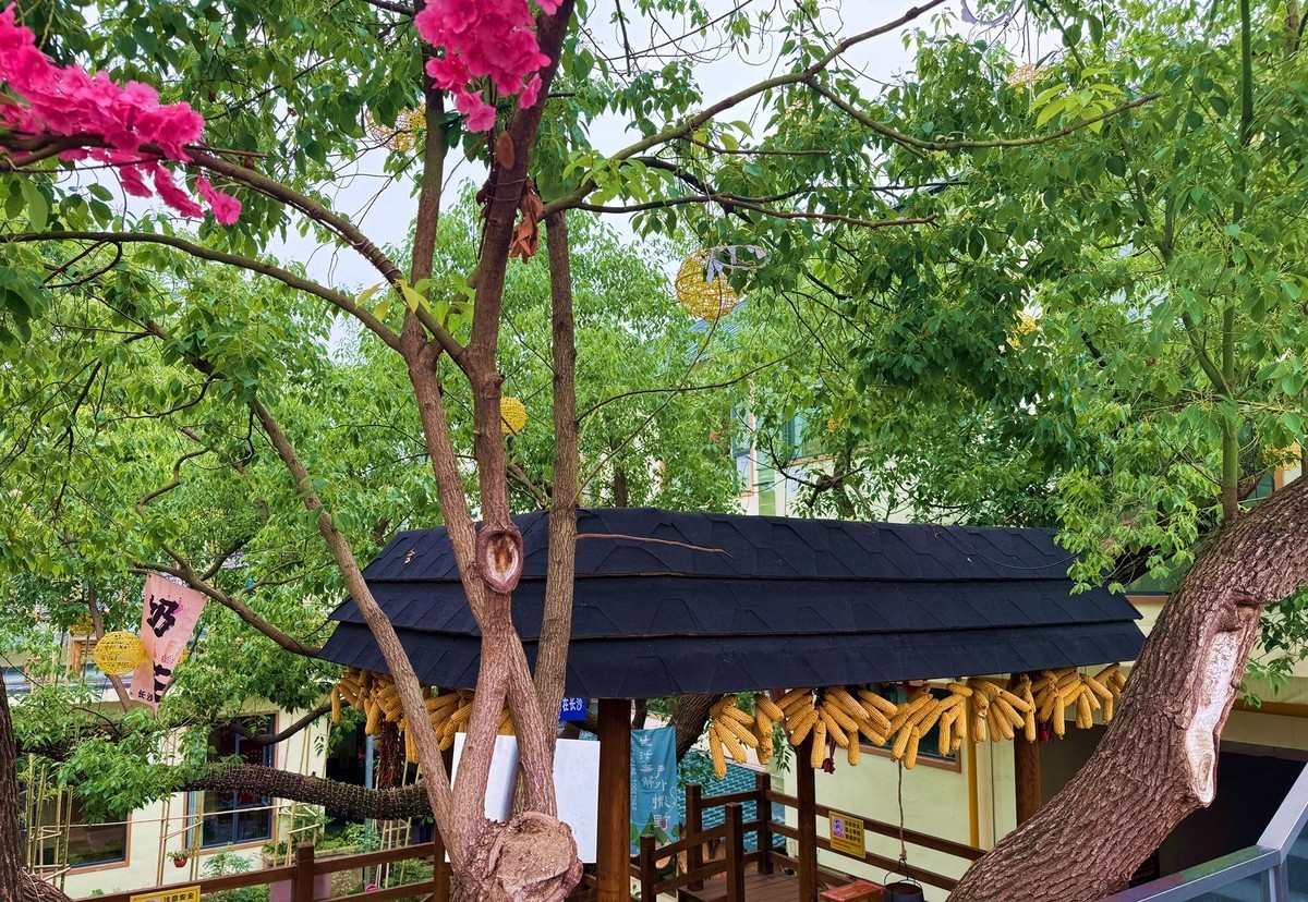 长沙喜院餐馆【手机图】2