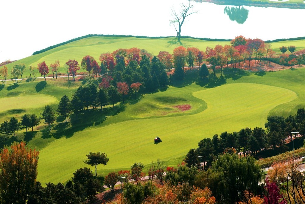 远眺高尔夫球场