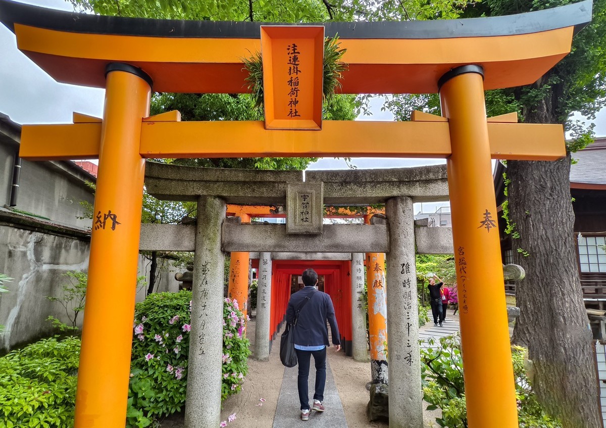 邮轮六日（14）