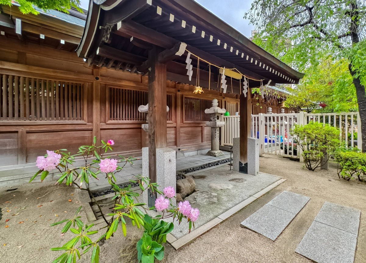 邮轮六日（14）