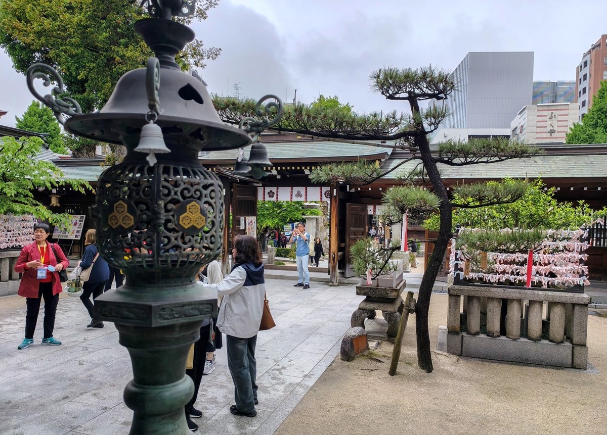 邮轮六日（14）