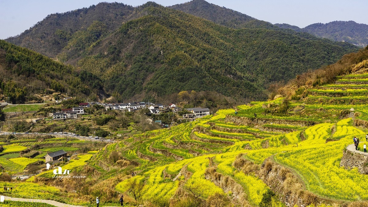 三月下江南——岭南覆卮山油菜花梯田（8）