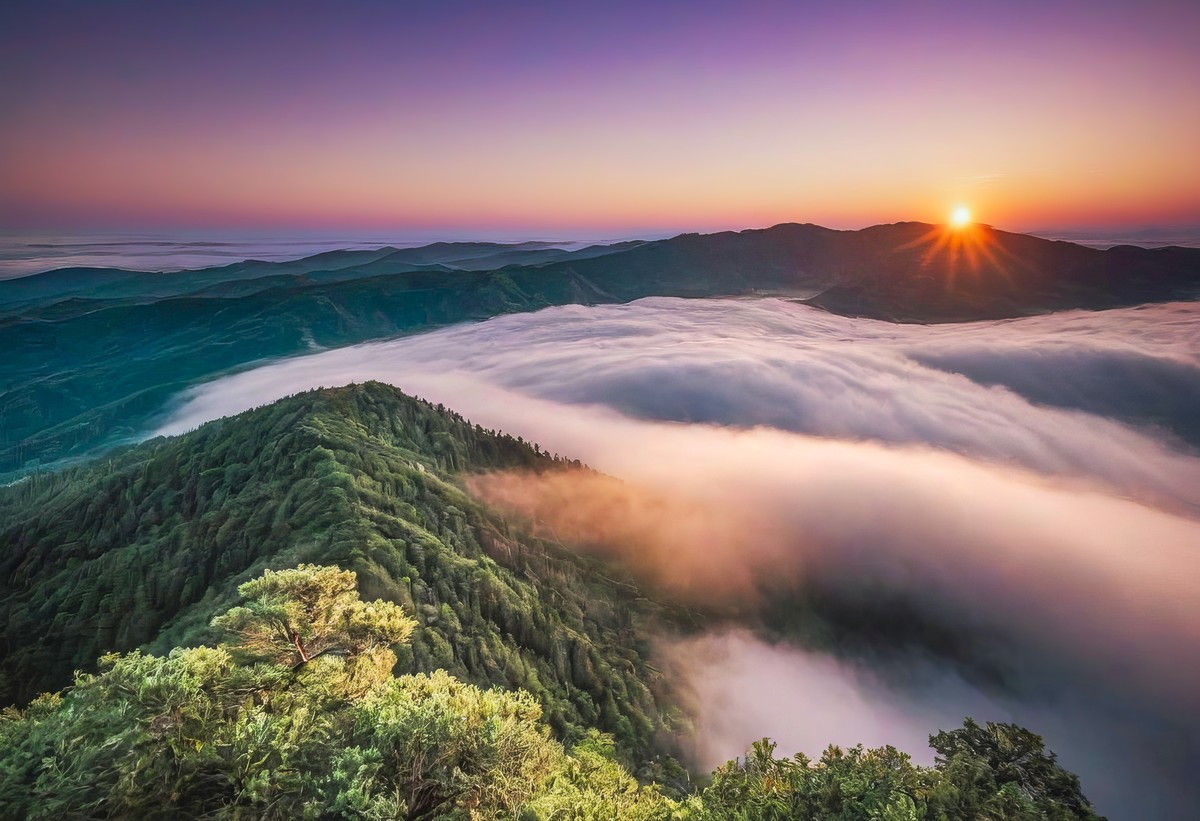 心灵的净化与探索