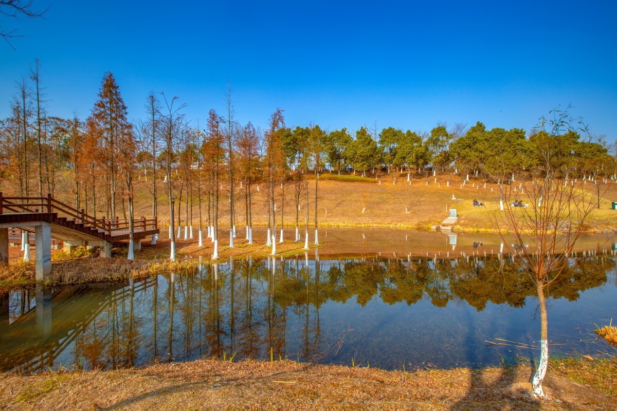 松雅湖風景21