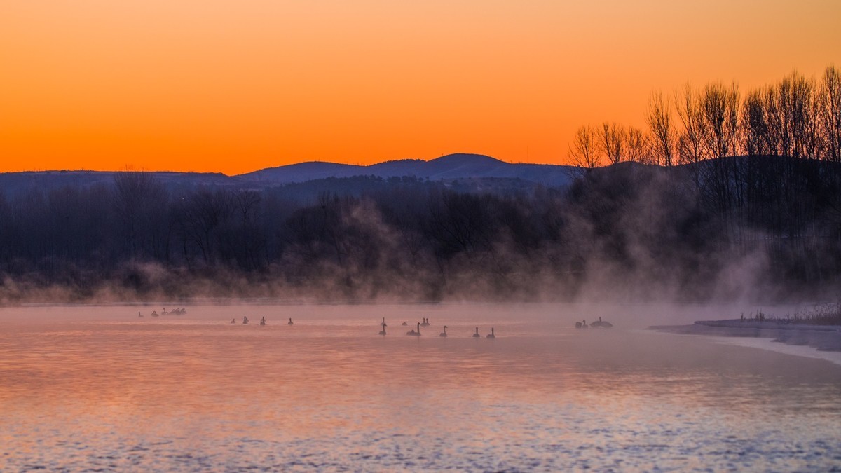 #花开春光寻美景#------亦梦亦幻天鹅湾