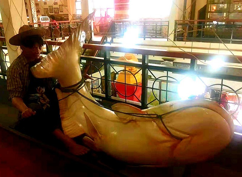 《不老松：中游国旅：异国风情：手机篇》38金三角鸦-片博物馆！01