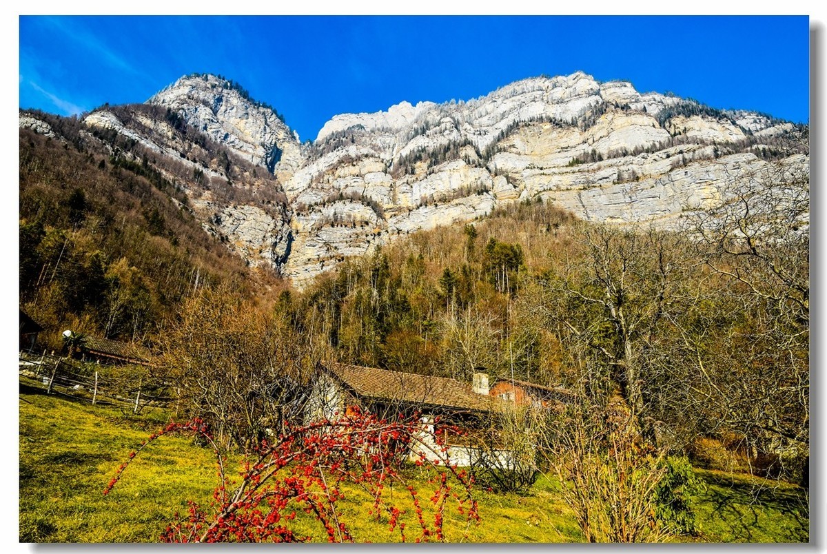 携“瑞士山水--甲天下”，祝老朋友节日快乐！！！
